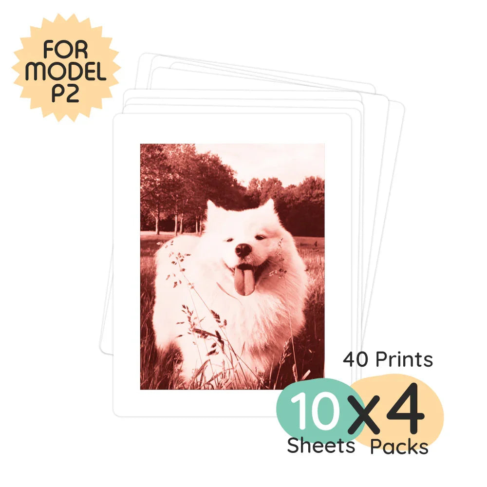 Print pack for Model P2 with 40 prints featuring a dog.