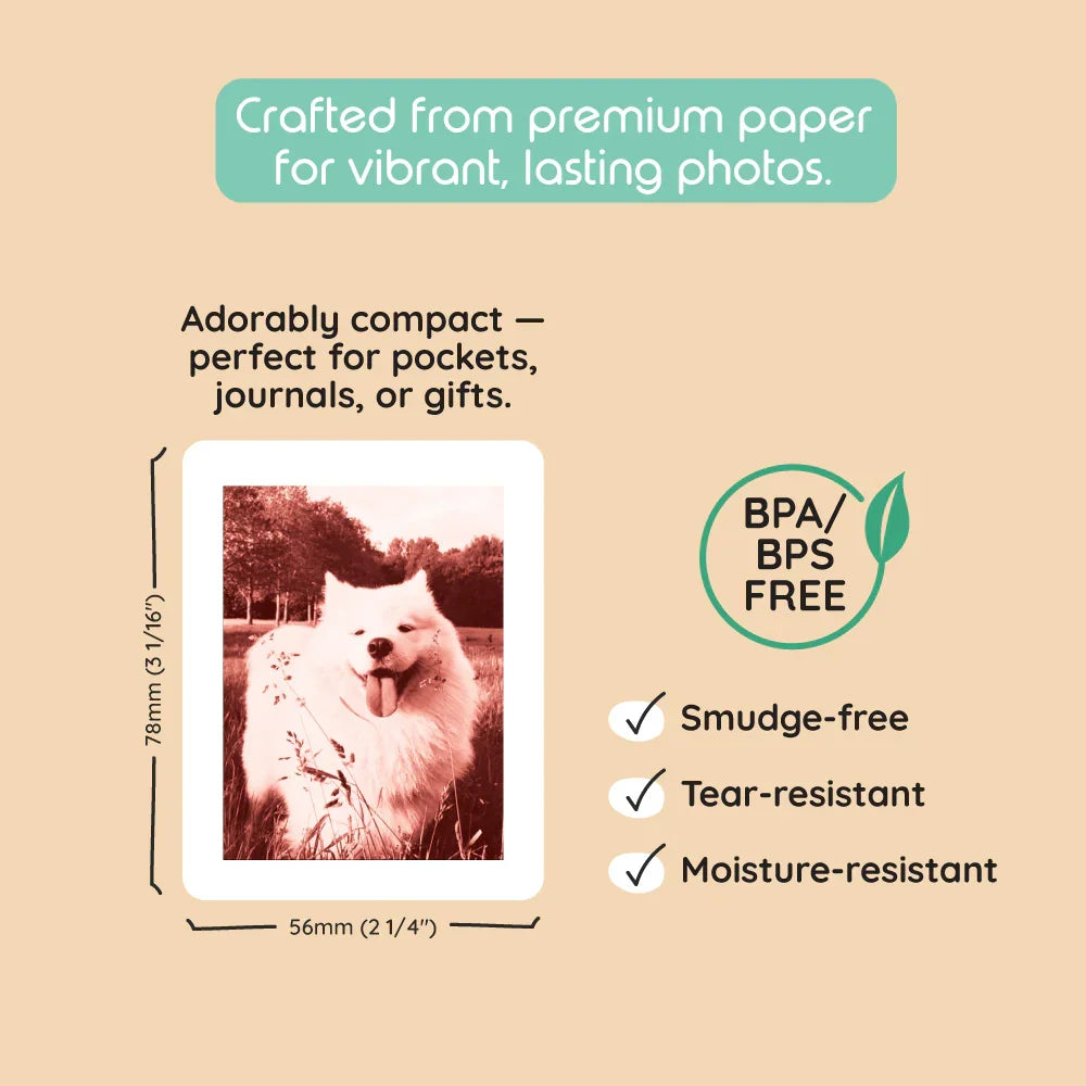 A 78x56mm photo print of a white dog. The photo card is smudge-free, tear-resistant, and moisture-resistant.